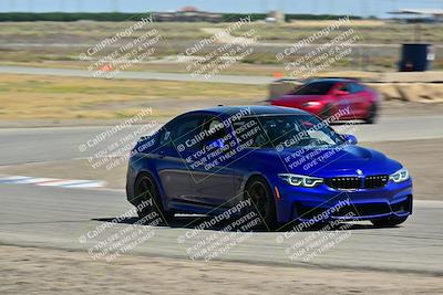 media/May-24-2025-Turn8 Trackdays (Sat) [[034586b55d]]/3 Inter 3/Session 2 (Cotton Corners-Grapevine)/